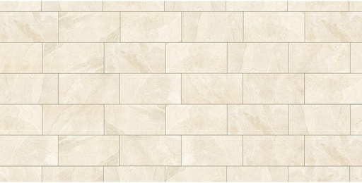 [SS-005] Außenplatten Aurea Sand 30×60 cm