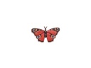 Bronze-Schmetterling für Grabmal, 5,5×9,5 cm oder 6,5×11,5 cm