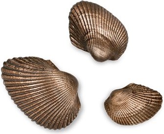 Bronze-Muschel für Grabmal, 2×3 cm bis 4×5,5 cm