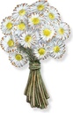Bronze-Blumenstrauß Gänseblümchen für Grabmal, 14×9 cm