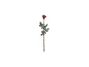 Bronze Rose für Grabmal, 68×19 cm