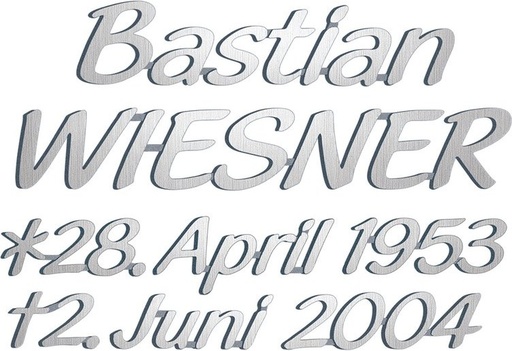 [ST-SK-SZ008] Bronze-Inschrift Wiesner für Grabmal