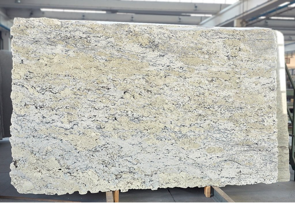 DELICATUS WHITE