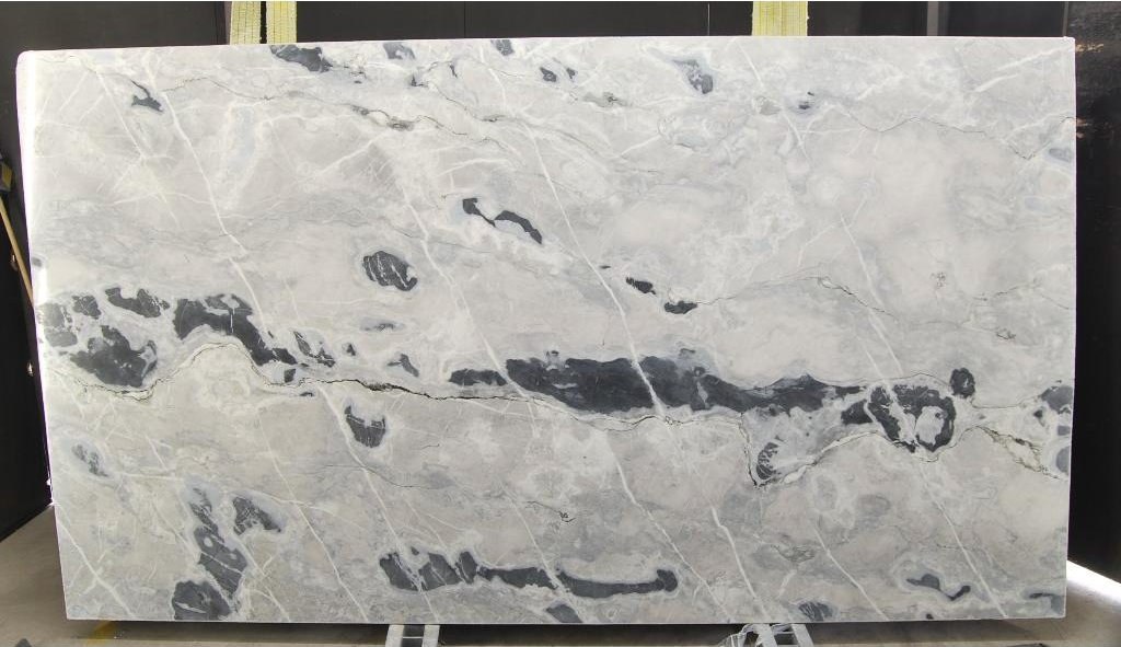 APPALOOSA WHITE