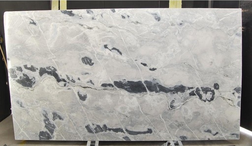 [1891/2] APPALOOSA WHITE (2,0 cm Material)