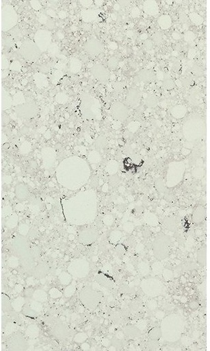 QUARELLA BIANCO APUANO (1,2 cm Produkt)